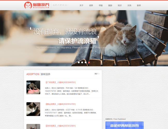 貓咪領養網